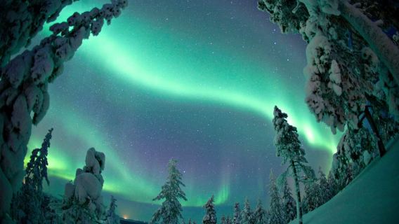 Rovaniemi: Northern Lights Tour with Electric Snowmobiles