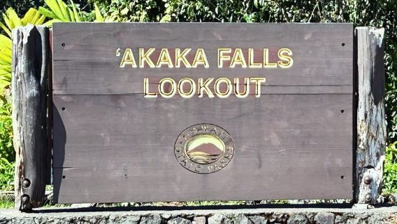 Hilo Shore Excursion: Majestic Waterfalls