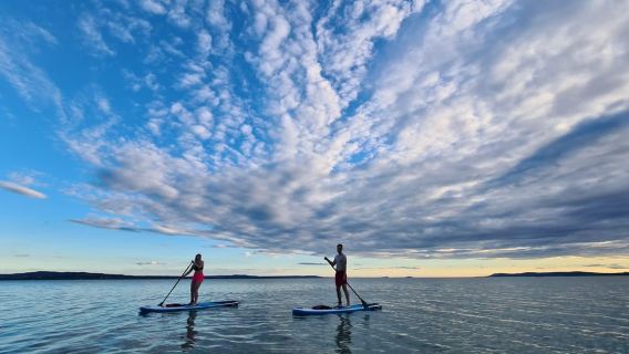 Excursión de SUP de 3 horas por el lago Balaton (autoguiada)