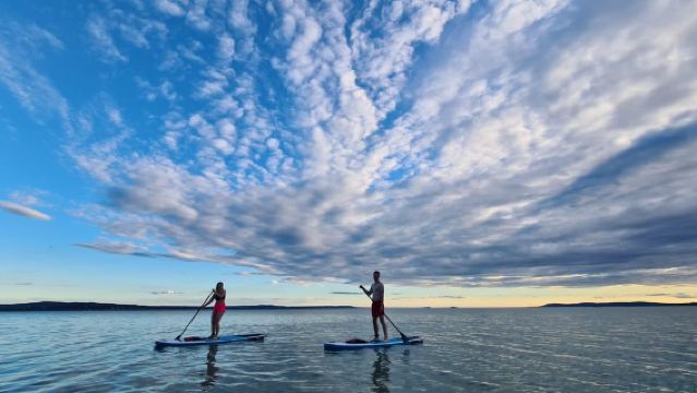 3-stündige SUP-Tour am Plattensee - selbst geführt