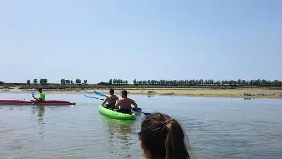 Cavallino: Paseo en kayak con aperitivo La Barena