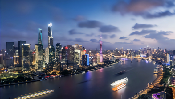 Shanghai guida professionale cinese-inglese con certificazione, tour in inglese, servizio di accompagnamento locale