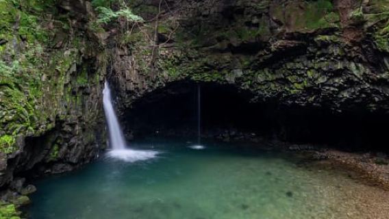 Herb Island : Sanjung Lake : Strawberry : Bidulginang Tour