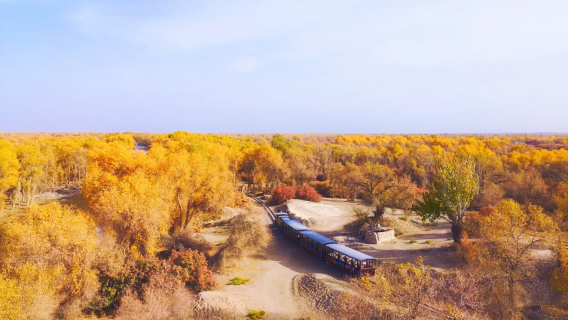 【 新疆南疆環線·親子/朋友/情侶出遊 】專屬你的新疆一日遊