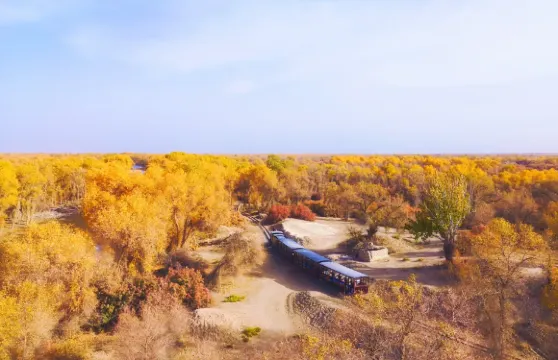 【 新疆南疆環線·親子／朋友／情侶出遊 】專屬你的新疆一日遊