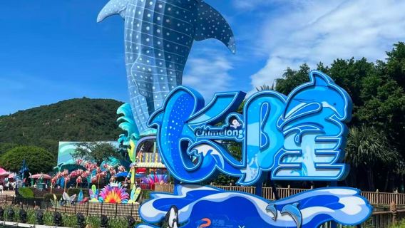 Paquete de 2 días y 1 noche / 3 días y 2 noches en el Reino Marino de Zhuhai Chimelong con opciones de hotel (Pingüino/Nave Espacial/Hengqin Bay/Circo/Yinghai), entrada al Reino Marino o Parque de la Nave Espacial, y opciones de espectáculo Chimelong, Kaka Tiger o buffet.