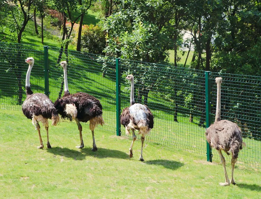 Nanjing private charter family tour: Purple Lake Wildlife Park + Tangshan No.1 Hot Spring Resort