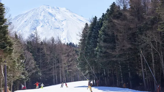 perjalanan satu hari ke Resor Ski Fujiten dan Taman Oishi (Berangkat dari Tokyo)
