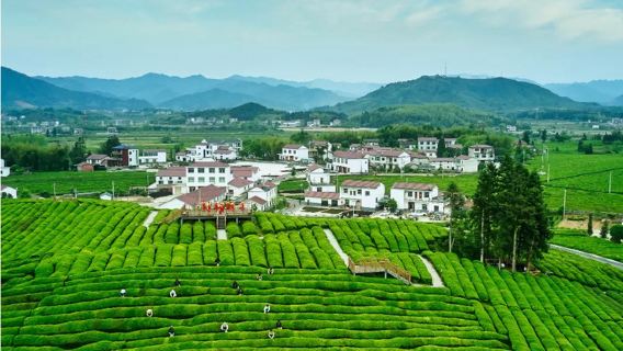 Partenza da Jingdezhen: tour di un giorno al Palazzo della Porcellana, al Villaggio Hanxi, al Molo Dongbu e all'Antico Villaggio Yaoli