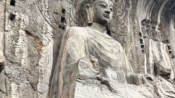 【15 人商務小團】龍門石窟＋白馬寺＋洛陽博物館免預約到府接駁
