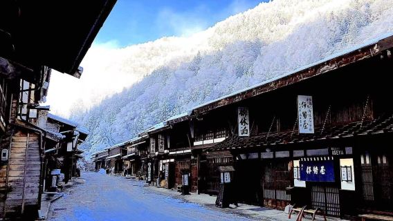 Private Tour to Nagano Snow Monkeys + Shibu Onsen Town with Local Guide | Seasonal Exclusive