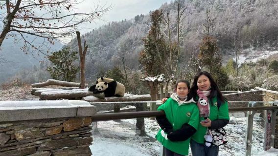 四川成都出發臥龍熊貓基地鏟屎官愛心體驗一日拼車遊
