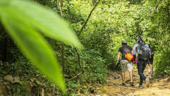 Phuket: Khao Phra Thaeo National Park Guided Trek + Lunch + Transfer