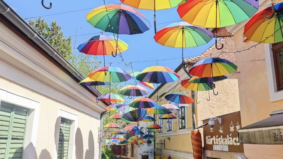 Departing from Budapest: Three Towns along the Danube Bend Day Tour – Explore Culture and Riverside Scenery in One Day