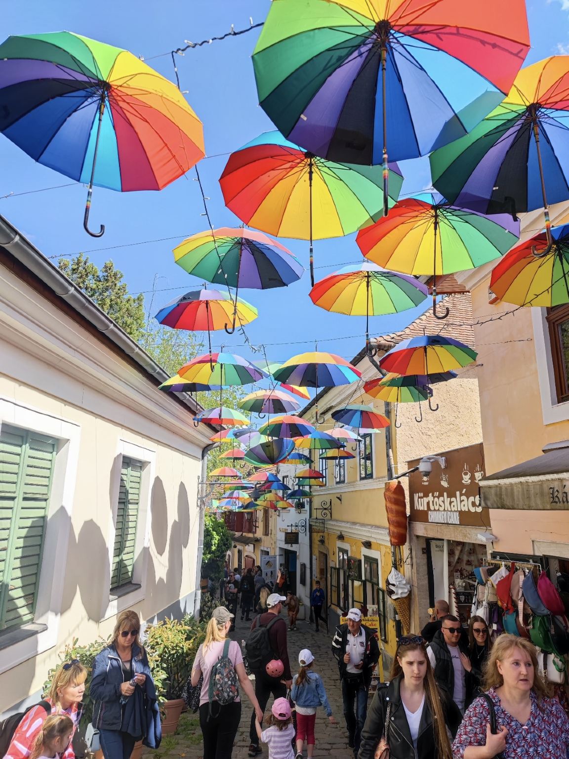 Departing from Budapest: Three Towns along the Danube Bend Day Tour – Explore Culture and Riverside Scenery in One Day