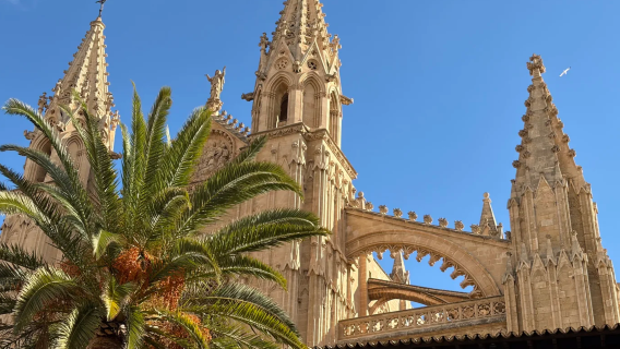 西班牙洛卡島|帕爾馬大教堂+德拉赫洞穴+帕爾馬海灘包車一日遊