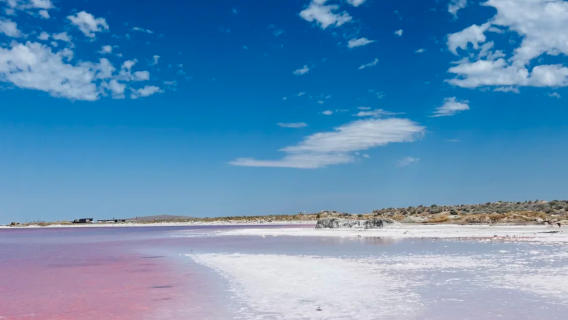 Salt Lake City Mormon Temple + Great Salt Lake + Bonneville Salt Flats Day Tour