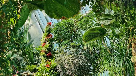 Vườn thực vật Huệ Châu + Hồ Hồng Hoa + Đền thờ Đông Pha + Khu văn hóa đời sống Đảo Hoang