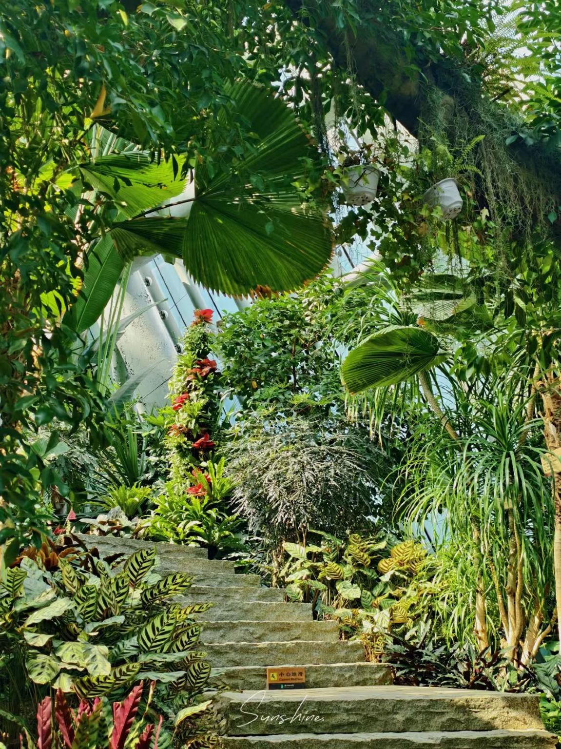 A great family-friendly destination! Visit Huizhou Botanical Garden and enjoy cycling around Honghua Lake.