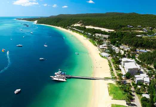 Tangalooma Island Resort (Snorkeling/Sandboarding/Marine Discovery/4WD) 1-Day Tour AUD 121.12
