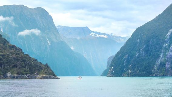 紐西蘭皇后鎮來回米爾福德峽灣一日遊【中文小團+鏡湖+艾格林】