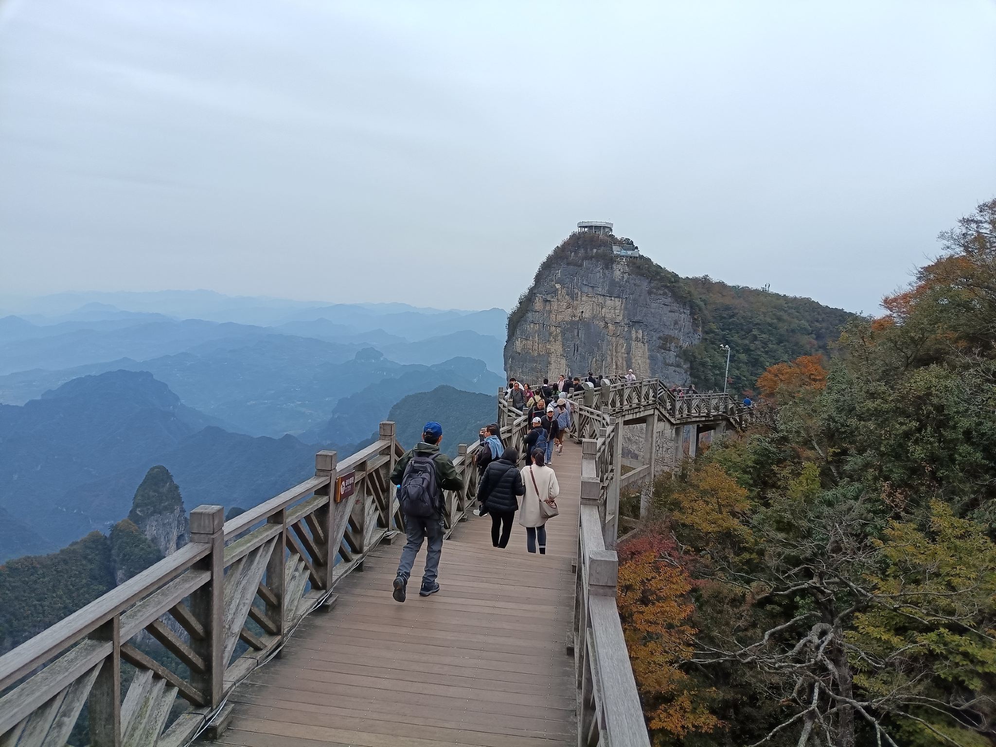 Tour Privato Giornaliero all'Avventura della Montagna Tianmen - Dalle Nuvole alla Porta del Cielo