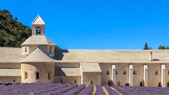 法國阿維尼翁-塞南克修道院薰衣草可定制【中文專車-愜意舒適】