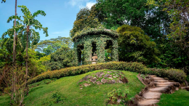 Rio de Janeiro Botanical Garden + Vista + Tijuca National Park + São Conrado Beach Day Tour