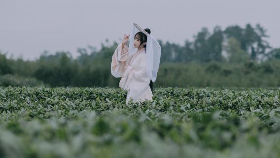 莫幹山 | 採茶+炒茶體驗+茶園輕徒步+品莫幹黃芽活動