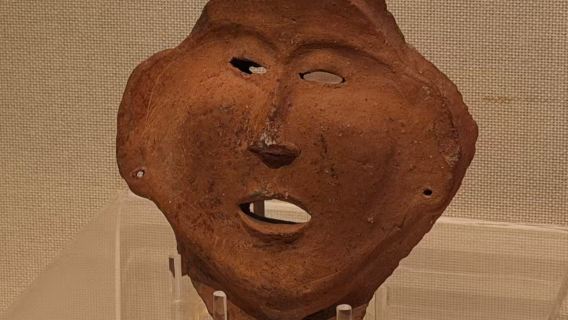 2-hour expert live guide at Gansu provincial museum | must-see treasures and viral artifacts all included | optional 1-on-1 private tour or join-in tour