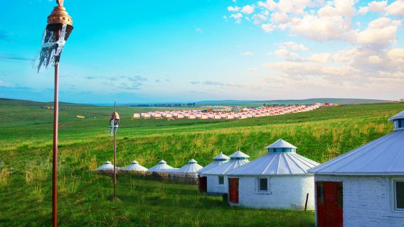 Berlepas dari Hohhot: Lawatan Sehari di Padang Rumput Asli Semula Jadi Xilamuren [Sewaan Peribadi Eksklusif]