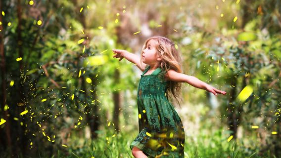 沙巴亞庇KAWA紅樹林一日遊 皇家灣天空之鏡·長鼻猴·螢火蟲