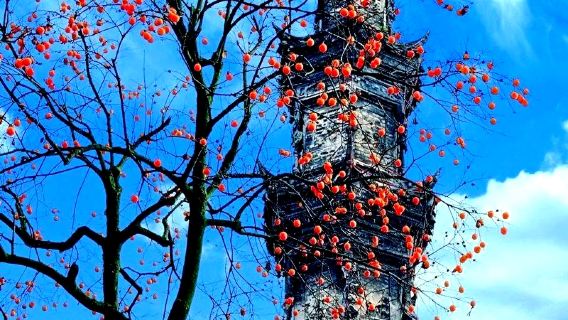 1-day tour to seek tranquility in Qingcheng, savor western Sichuan culture at Jiezi ancient town and enjoy authentic skewers to taste Chengdu's local flavor