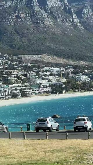 南非：開普半島+查普曼公路+好望角+企鵝灘|中文訂製包車