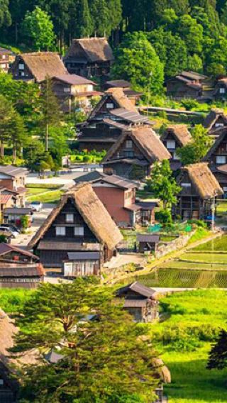 1-day Tour to Gujo Hachiman + Hida Takayama + Shirakawa-go from Nagoya
