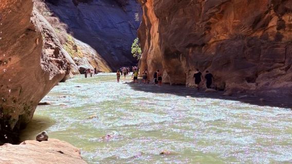 Las Vegas, Amerika Syarikat - Taman Negara Zion - Sewaan Peribadi (Tidak Termasuk Tiket) - Tanpa Risau [Laluan Keluarga]