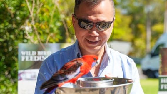 Gold Coast: Lamington, O'Reilly's ve Bağ Turu