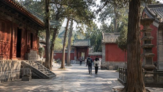 Luoyang Private Day Tour: Shaolin Temple and Longmen Grottoes