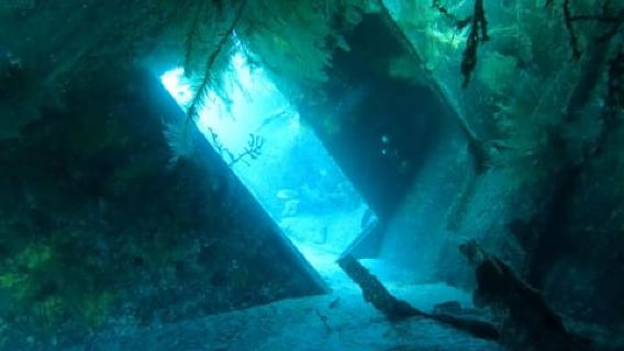 Tenerife: PADI Discover Scuba Diving in Los Cristianos