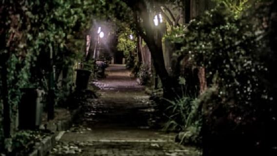 Charleston: Dark Side of Charleston 1.5-Hour Walking Tour