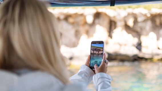 Rockingham: Shoalwater Islands, Dolphins, and Sea Lions Tour