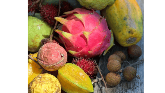 Honalo: Exotic Fruit Tasting Tour