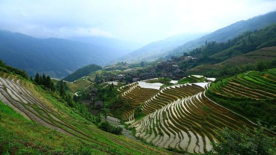A must-visit in Guilin! Longji Rice Terraces, Huangluo Red Yao Village, and Jinkeng Dazhai day tour