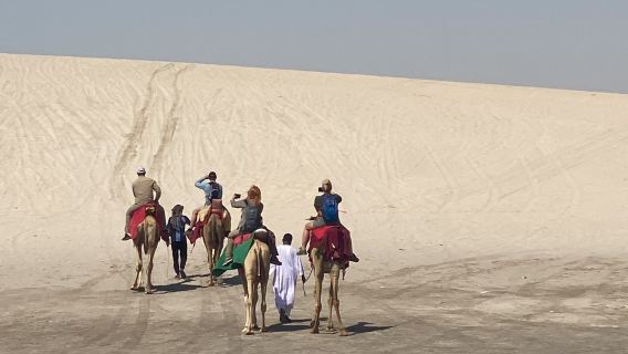 Doha: Camel Trekking - Gentle Safari, Camp Tea & Inland Sea, No Dune Bashing