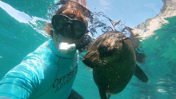 Plettenberg BayTours