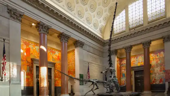 Go City 紐約畅游通行證 (含帝國大廈、峭石之巔觀景台等100+熱門景點) New York Pass