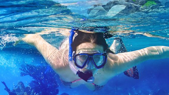 Egypt Red Sea Hurghada Hula Hula Island / Orange Bay Island snorkeling one-day tour to choose one