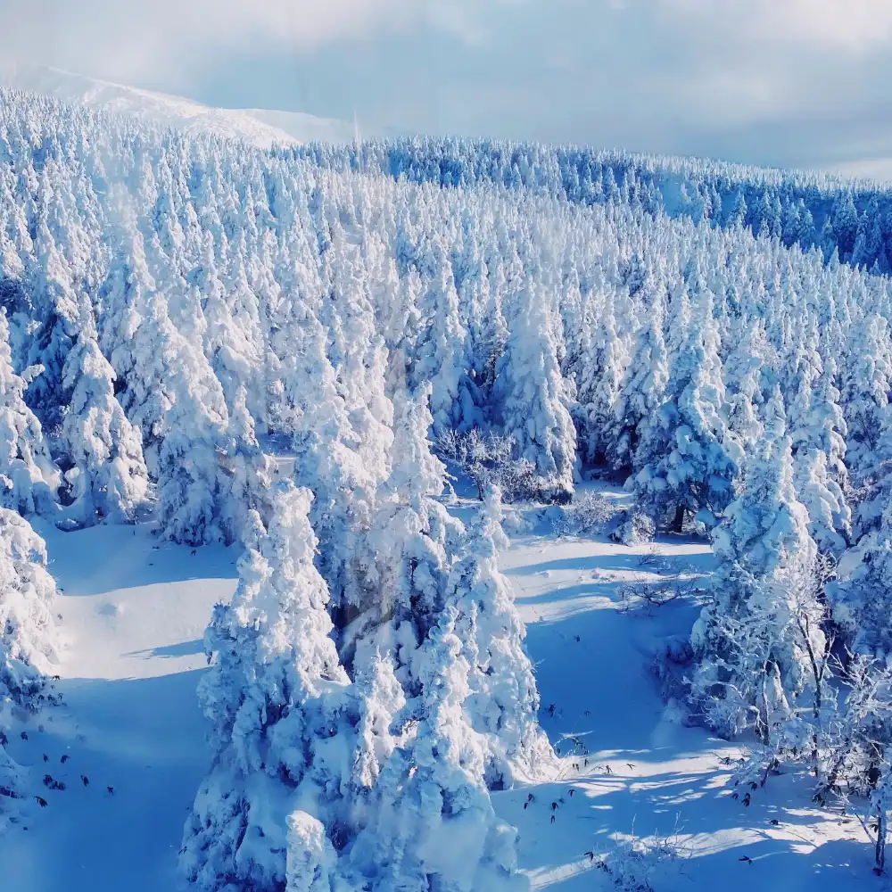 置物 WINTER MOUNTAINS winter-mountain-landscape-wall