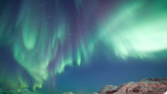 Tromsø Fjord Night Cruise, Norway [Classic cruise/Chasing the Stunning Northern Lights/Free Coffee or Tea]
