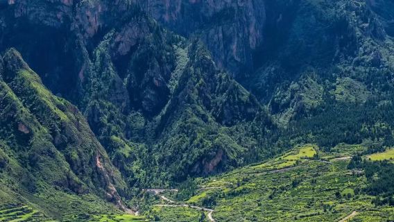 拉卜楞寺+桑科草原+達爾宗湖包車一日遊【一單一團/上門接送】